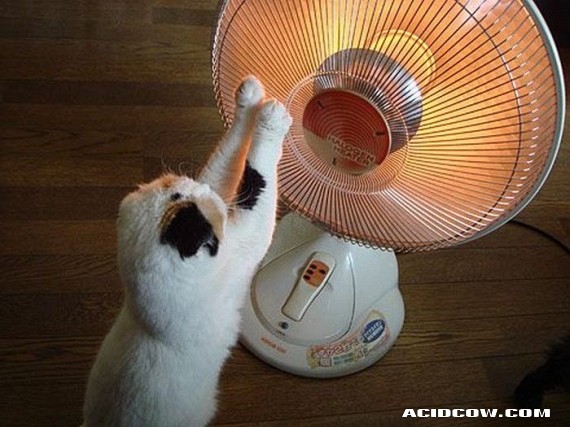 Funny picdump (90 pics)