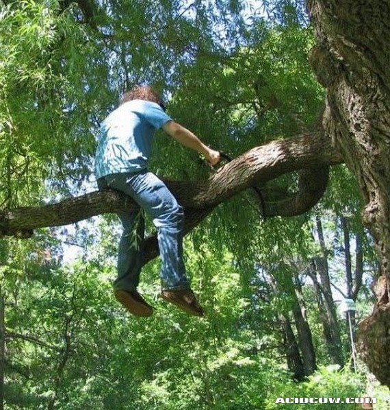 Funny picdump (90 pics)