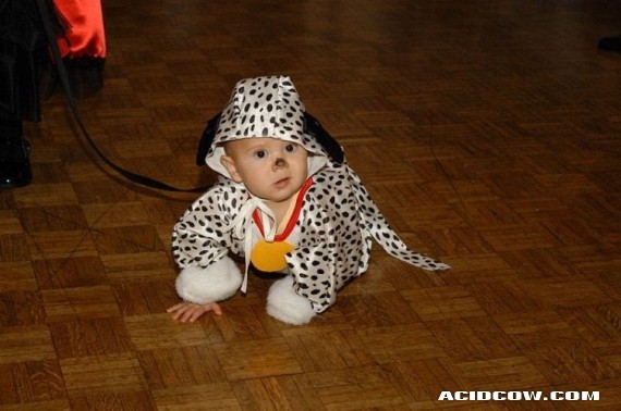 Funny picdump (90 pics)