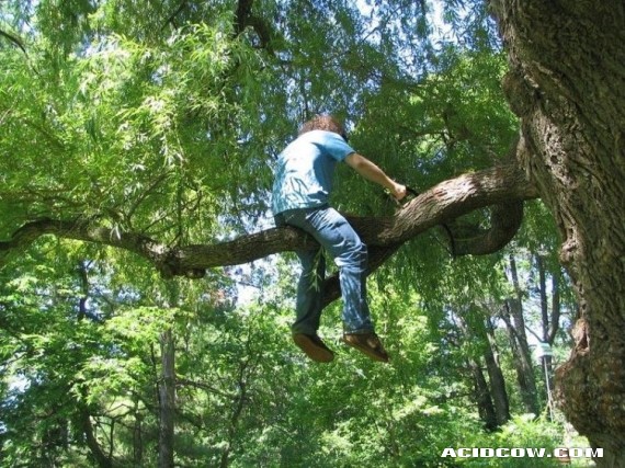 Funny picdump (90 pics)