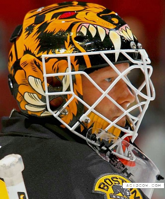 NHL Goalkeeper's Mask (39 pics)