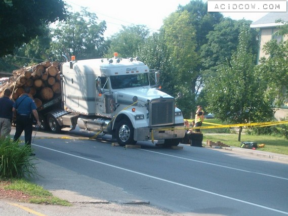 Overturned log truck (12 pics)