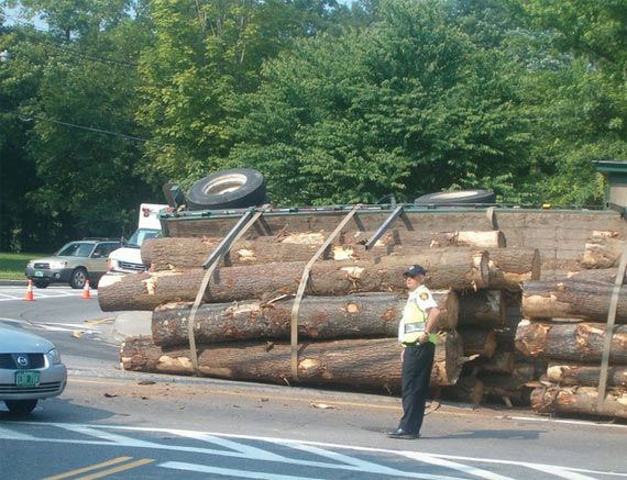 Overturned log truck (12 pics)