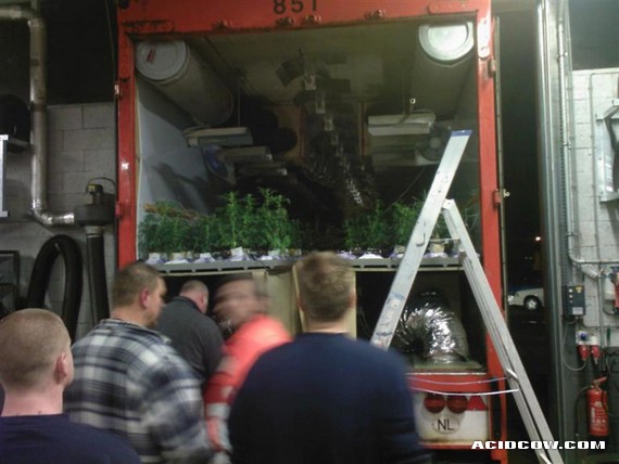 Mobile Marijuana Plantations... (17 pics)