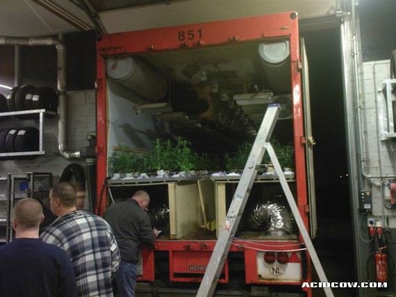 Mobile Marijuana Plantations... (17 pics)