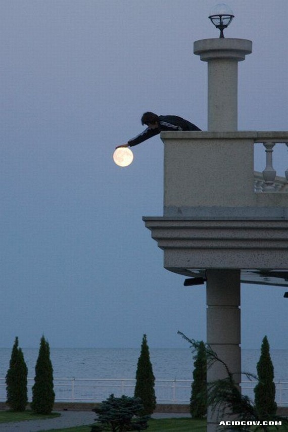 Funny picdump (97 pics)