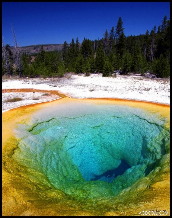 Morning Glory Pool in Yellowstone Park (14 pics)