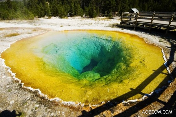Morning Glory Pool in Yellowstone Park (14 pics)