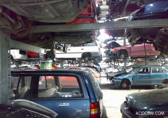 The Most Organized Car Junkyard in the World (4 pics)