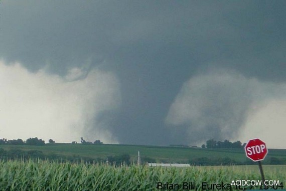Tornado (31 pics)