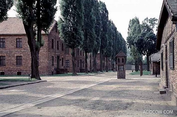 Auschwitz Concentration Camp (35 Pics)