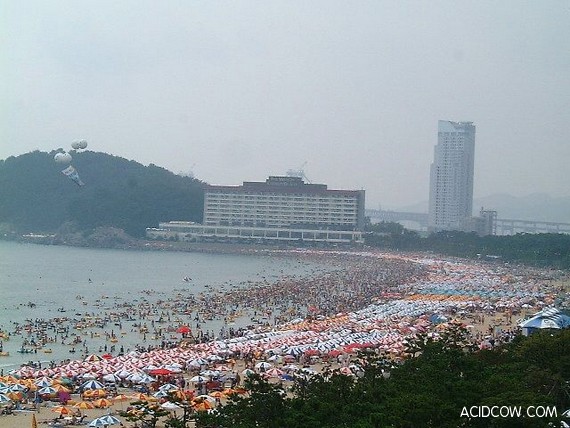City Beach for 2,000,000 people (4 pics)