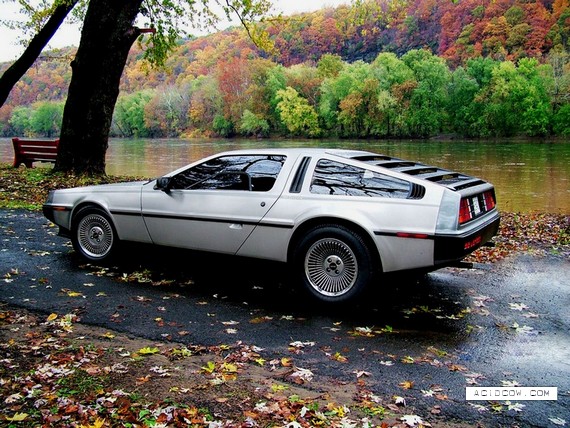 Back to the Future Car (17 pics)