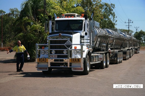 The Longest Truck In The World (9 pics)