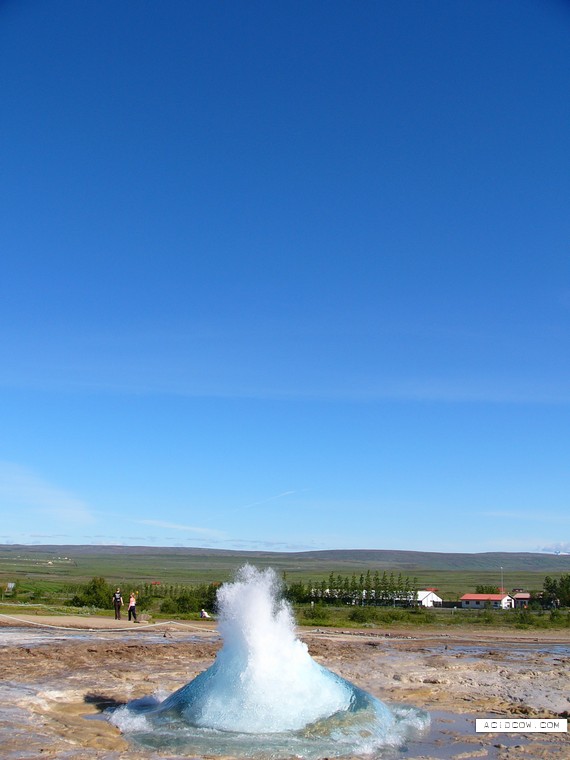 Strokkur Geysir (5 pics)