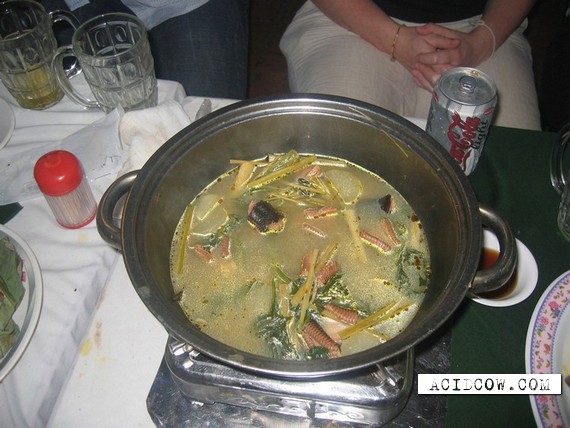 Korean soup from snakes (11 pics)