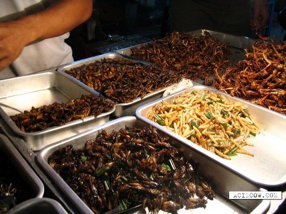 Street meal of the Asian countries (15 pics)