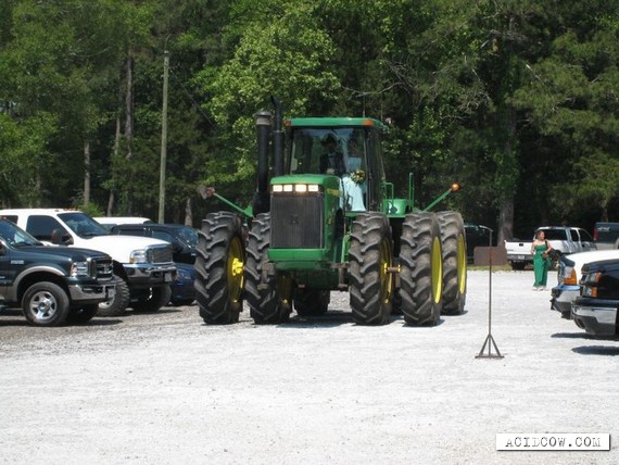 Unusual wedding transport (8 pics)