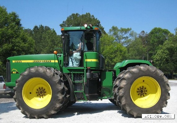 Unusual wedding transport (8 pics)