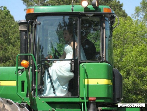 Unusual wedding transport (8 pics)