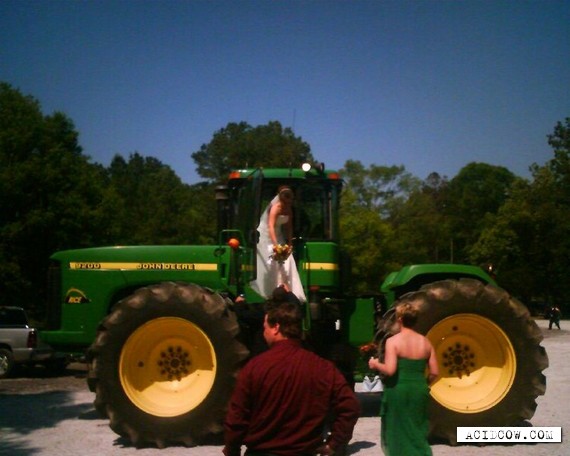 Unusual wedding transport (8 pics)