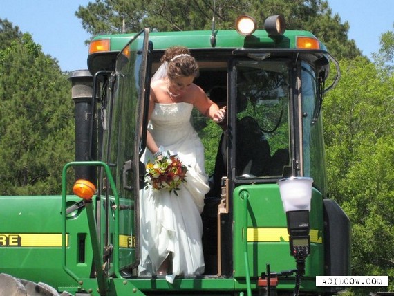 Unusual wedding transport (8 pics)