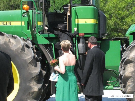Unusual wedding transport (8 pics)