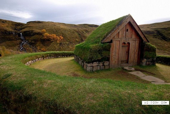 Houses that have grass on the roof (25 pics)