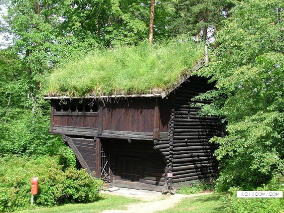 Houses that have grass on the roof (25 pics)