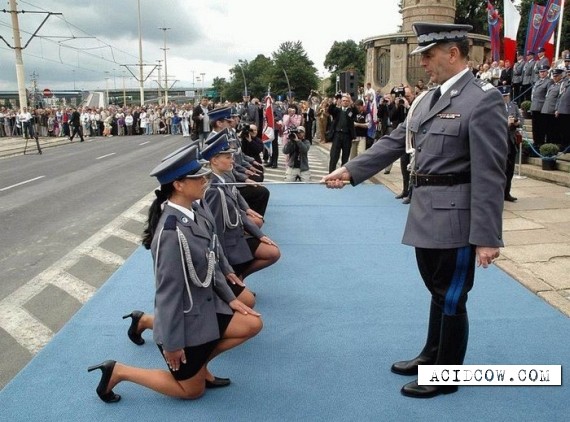 Funny picdump (102 pics)