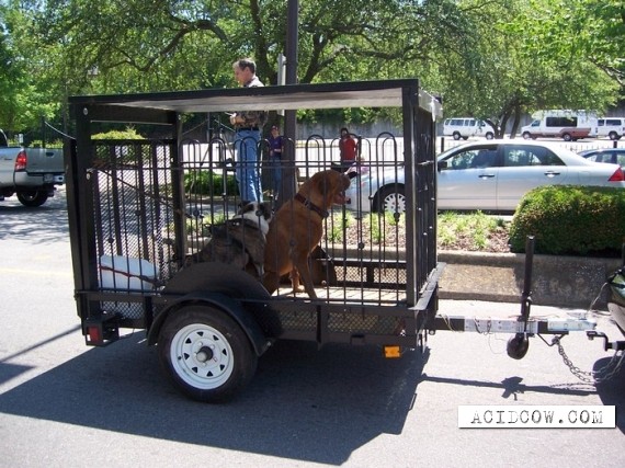 Funny picdump (102 pics)