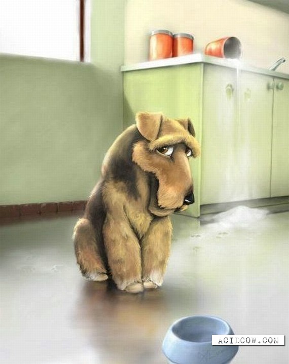 Funny picdump (102 pics)