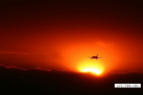 Super! Flying up planes (30 pics)
