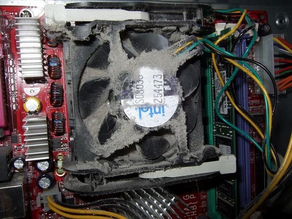 Dusty computers (31 pics)