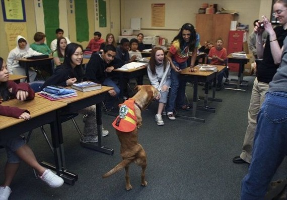 Faith, a bipedal female dog... (10 pics)