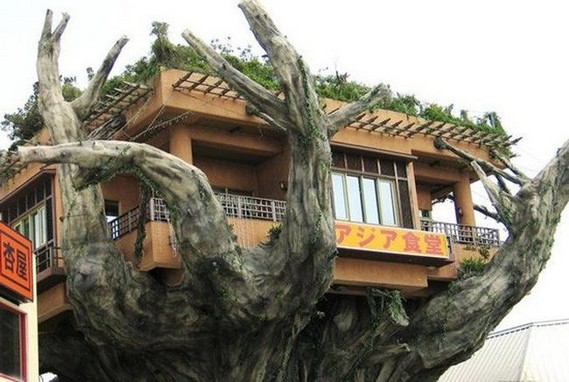 Restaurant on a tree (6 pics)