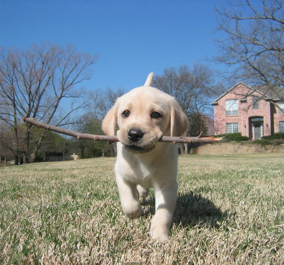 Excellent mood on Tuesday (29 pics)