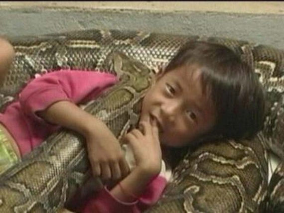 Best friend - a huge python (12 pics)