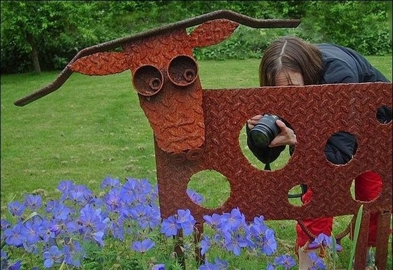 Funny Photographer (30 pics)