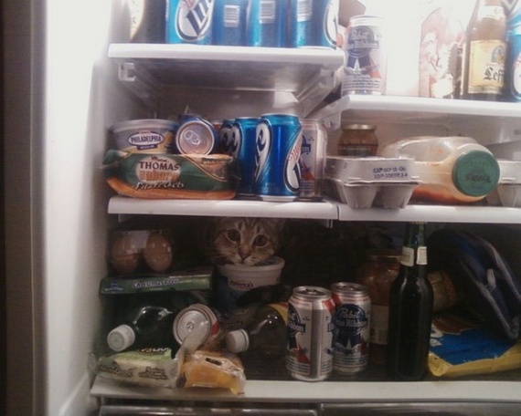 Funny picdump (116 pics)