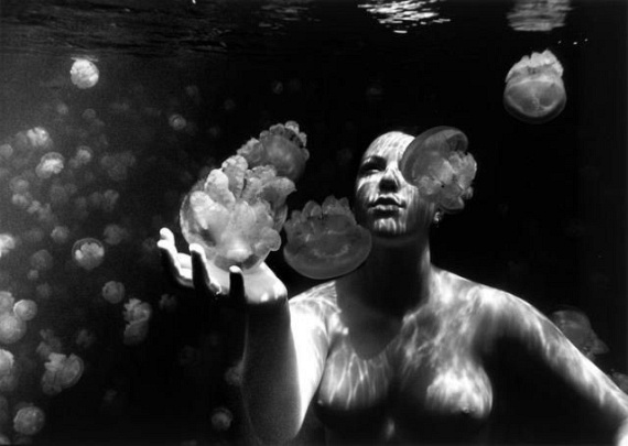 Underwater... (105 pics)
