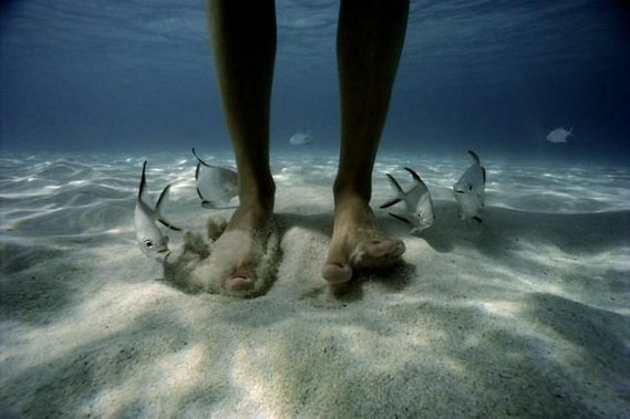 Underwater... (105 pics)