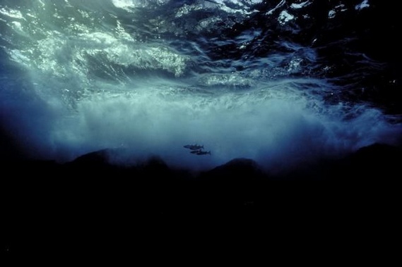 Underwater... (105 pics)