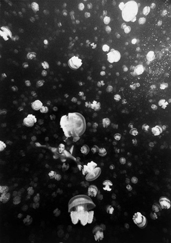 Underwater... (105 pics)