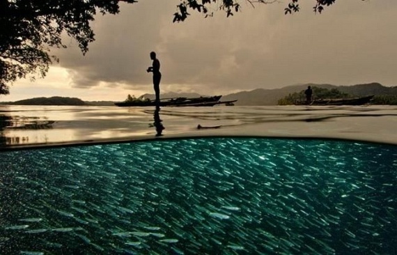 Underwater... (105 pics)