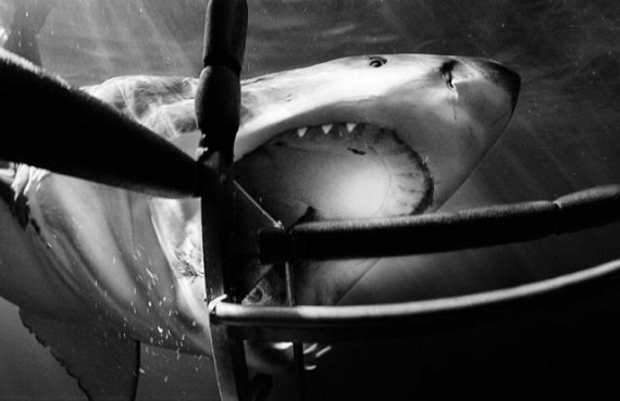 Underwater... (105 pics)