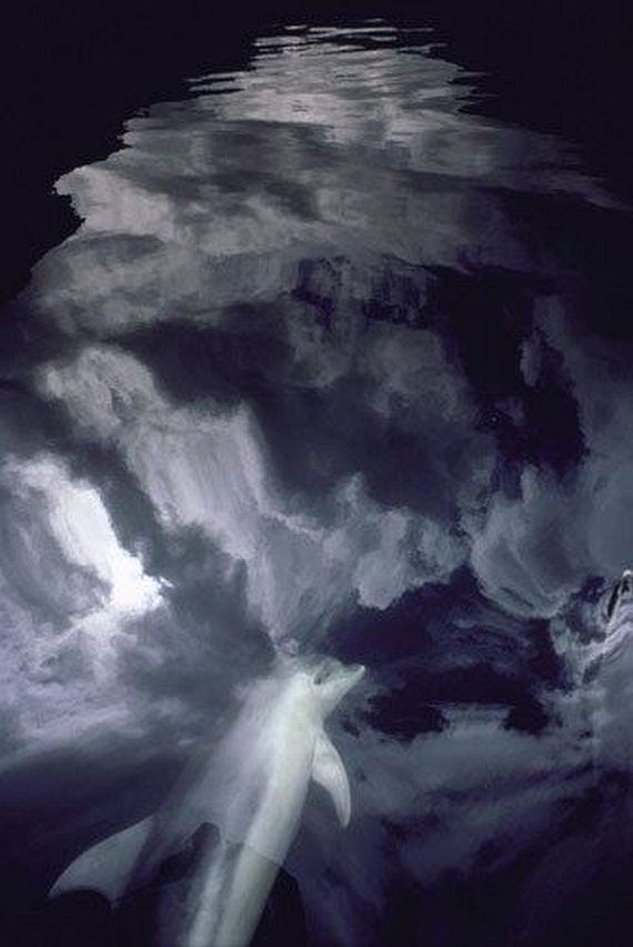 Underwater... (105 pics)
