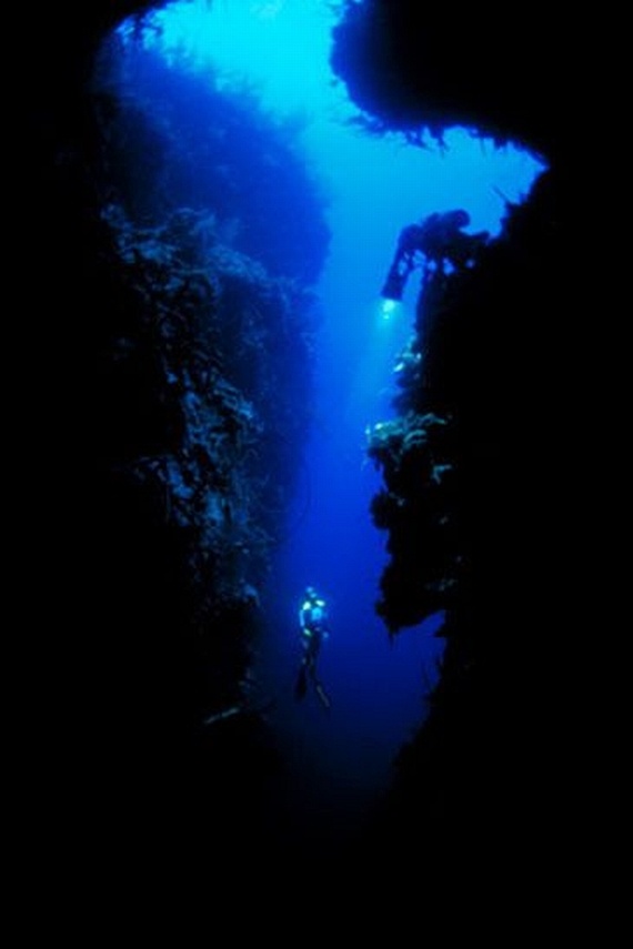 Underwater... (105 pics)