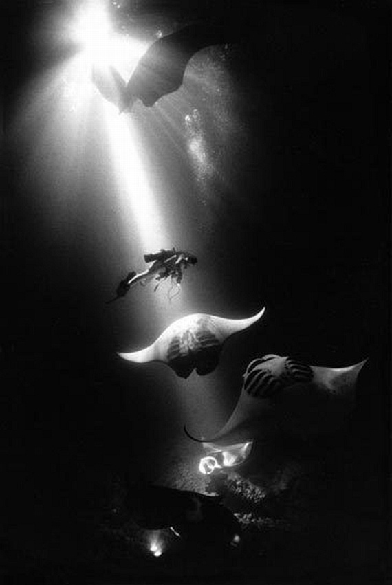 Underwater... (105 pics)