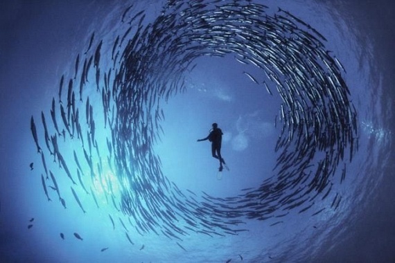 Underwater... (105 pics)